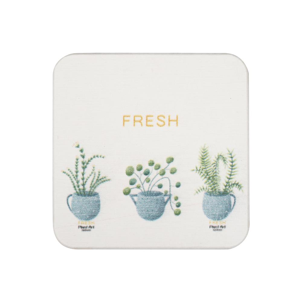 ที่รองแก้วดินเบา KECH FERN