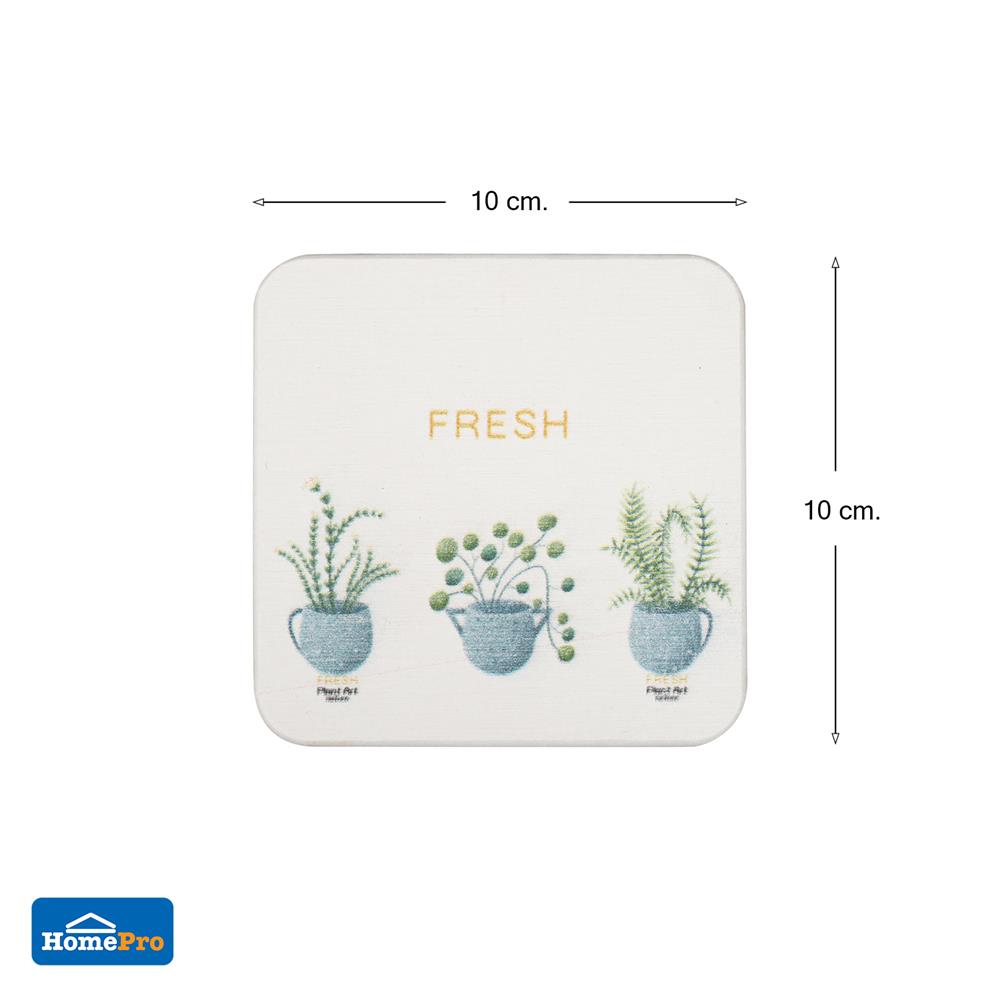 ที่รองแก้วดินเบา KECH FERN