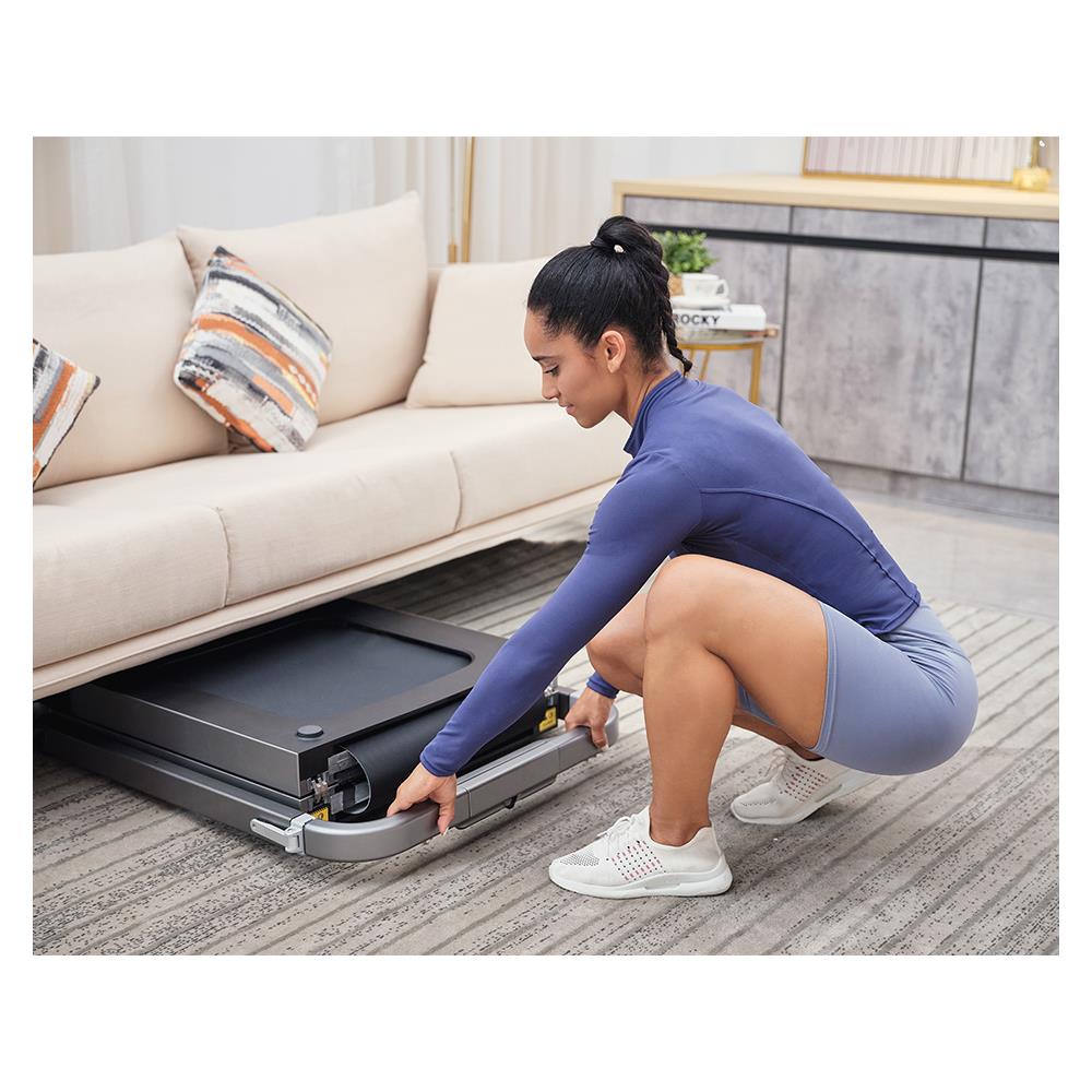 ลู่วิ่งไฟฟ้า KINGSMITH KS-R2