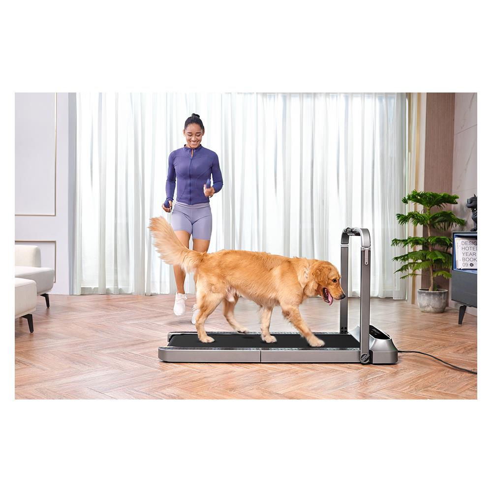 ลู่วิ่งไฟฟ้า KINGSMITH KS-R2