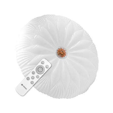 ไฟเพดาน LED NAGAS FIOLAR R01 REMOTE 20 นิ้ว 47 วัตต์ DAYLIGHT/COOL WHITE/WARM WHITE สีขาว_0