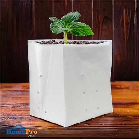 ถุงเพาะชำ SPRING 5X10 นิ้ว 1 กก. สีขาว_3