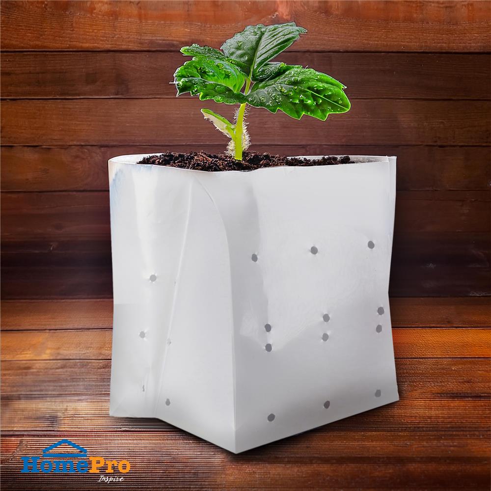 ถุงเพาะชำ SPRING 9X15 นิ้ว 1 กก. สีขาว