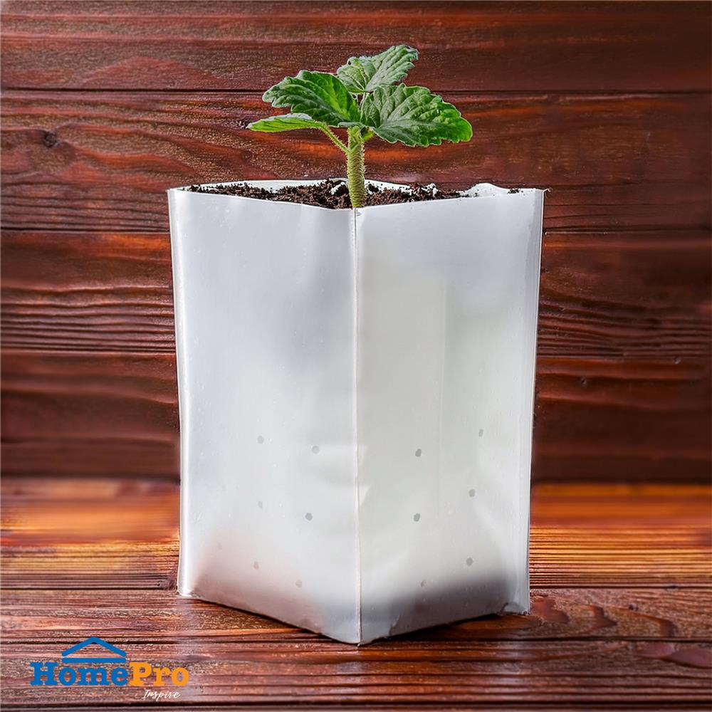 ถุงเพาะชำ SPRING 8X16 นิ้ว 1 กก. สีขาว