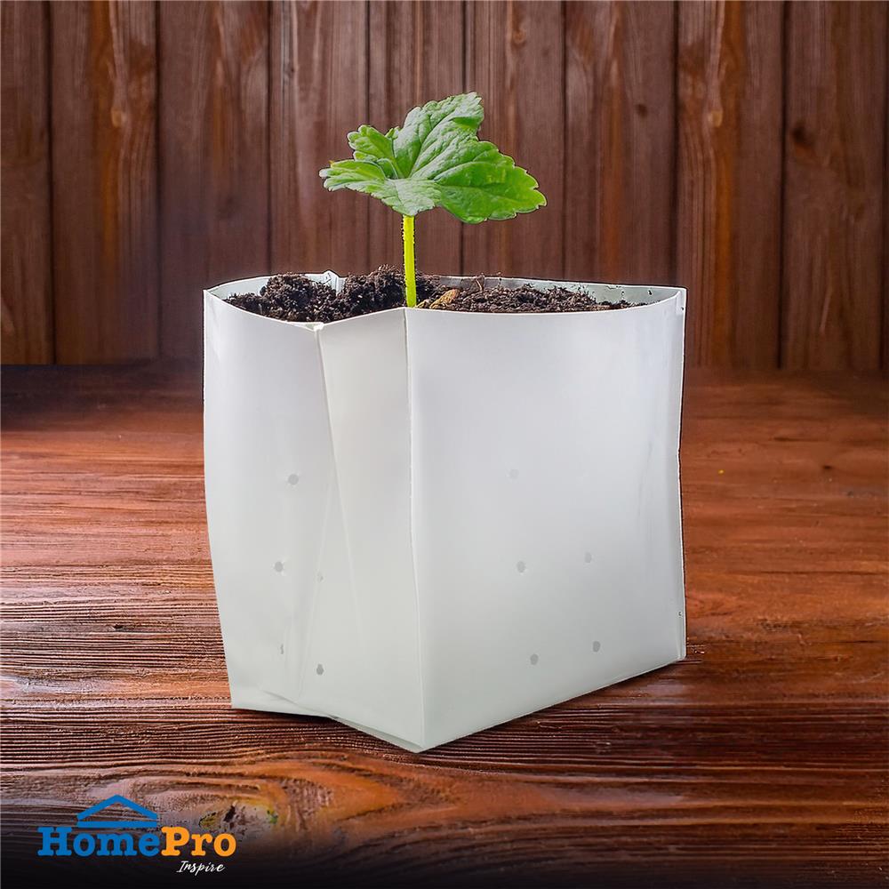 ถุงเพาะชำ SPRING 8X13 นิ้ว 1 กก. สีขาว