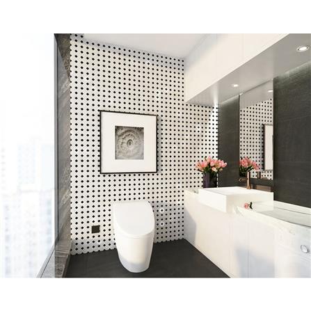 โมเสคพอร์ซเลน 29.5x29.5 ซม. DURAGRES จาโคบี้ สีขาว-ดำ_6