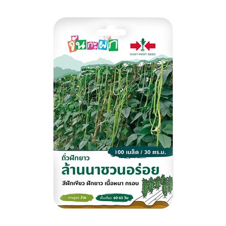 ถั่วฝักยาวล้านนาชวนอร่อย ศรแดง_0