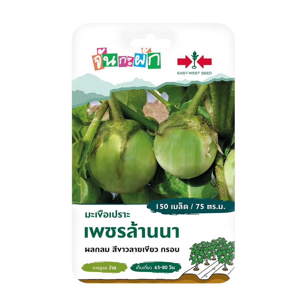 เมล็ดพันธุ์มะเขือเปราะ เพชรล้านนา ศรแดง