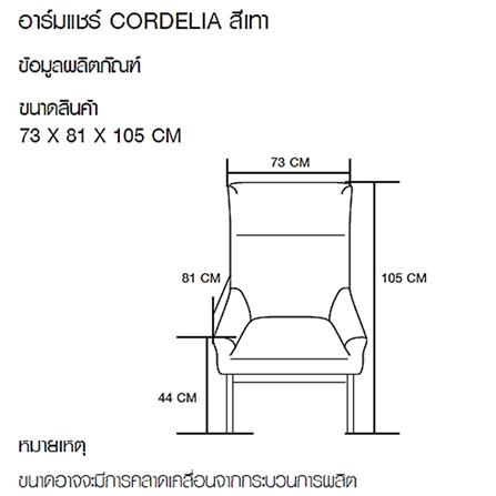 อาร์มแชร์ FURDINI CORDELIA สีเทา_6
