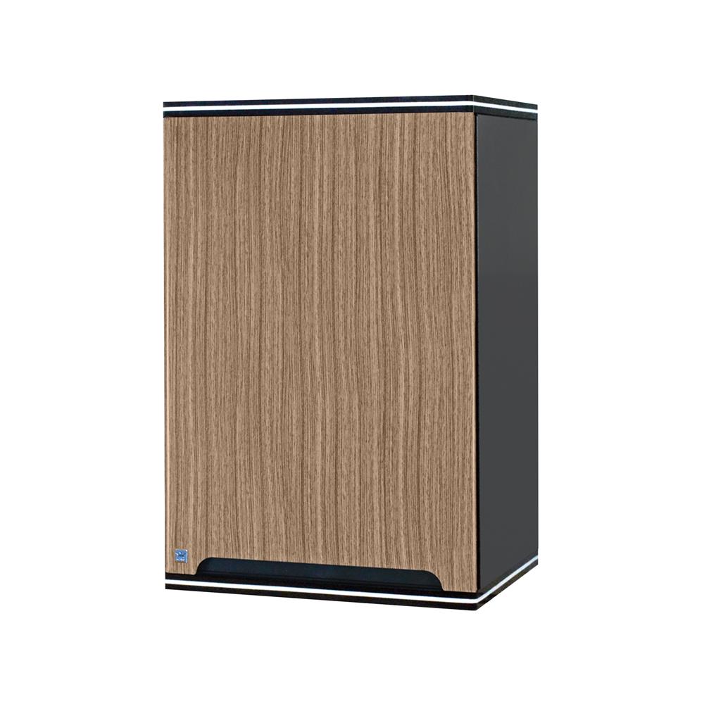 ตู้เดี่ยว KING PLATINUM CURVE 45x67.8 ซม. P1 MATT