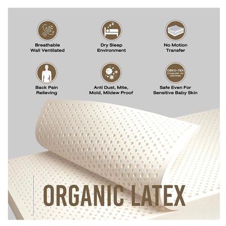 ที่นอน 5 ฟุต LOTUS I-LATEX I พร้อมหมอนหนุน 2 ชิ้น_4