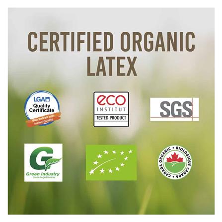 ที่นอน 5 ฟุต LOTUS I-LATEX I พร้อมหมอนหนุน 2 ชิ้น_13