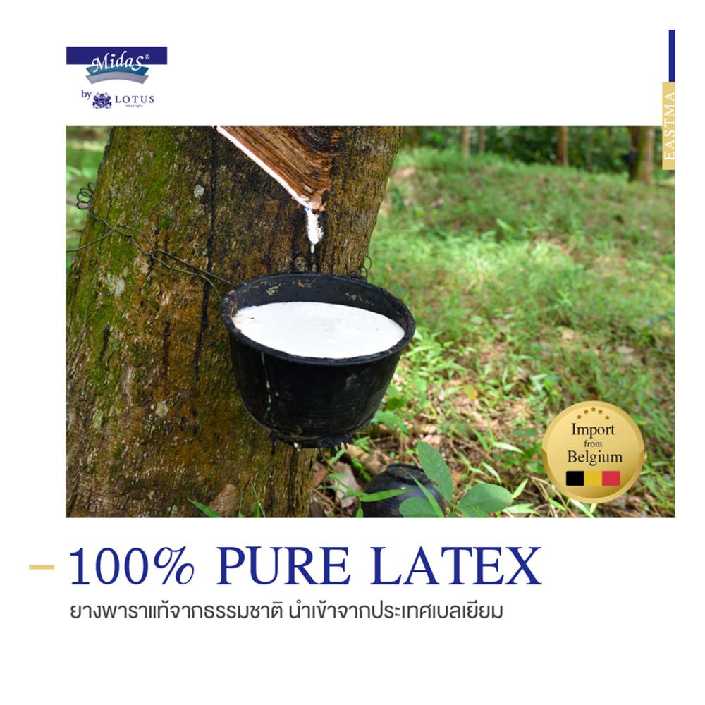 ที่นอน 3.5 ฟุต MIDAS EASTMA 2000 พร้อมหมอนหนุน 1 ชิ้น