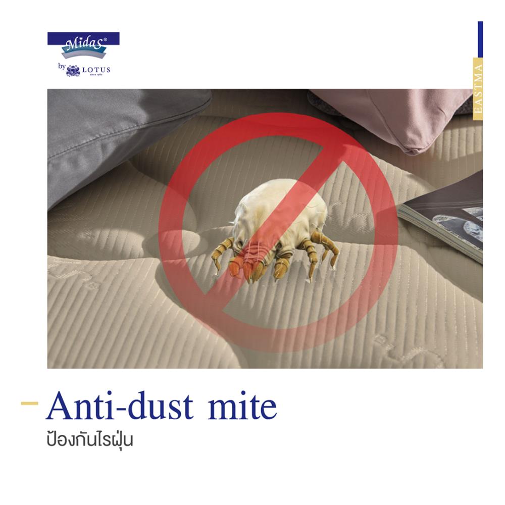 ที่นอน 3.5 ฟุต MIDAS EASTMA 1000 พร้อมหมอนหนุน 1 ชิ้น