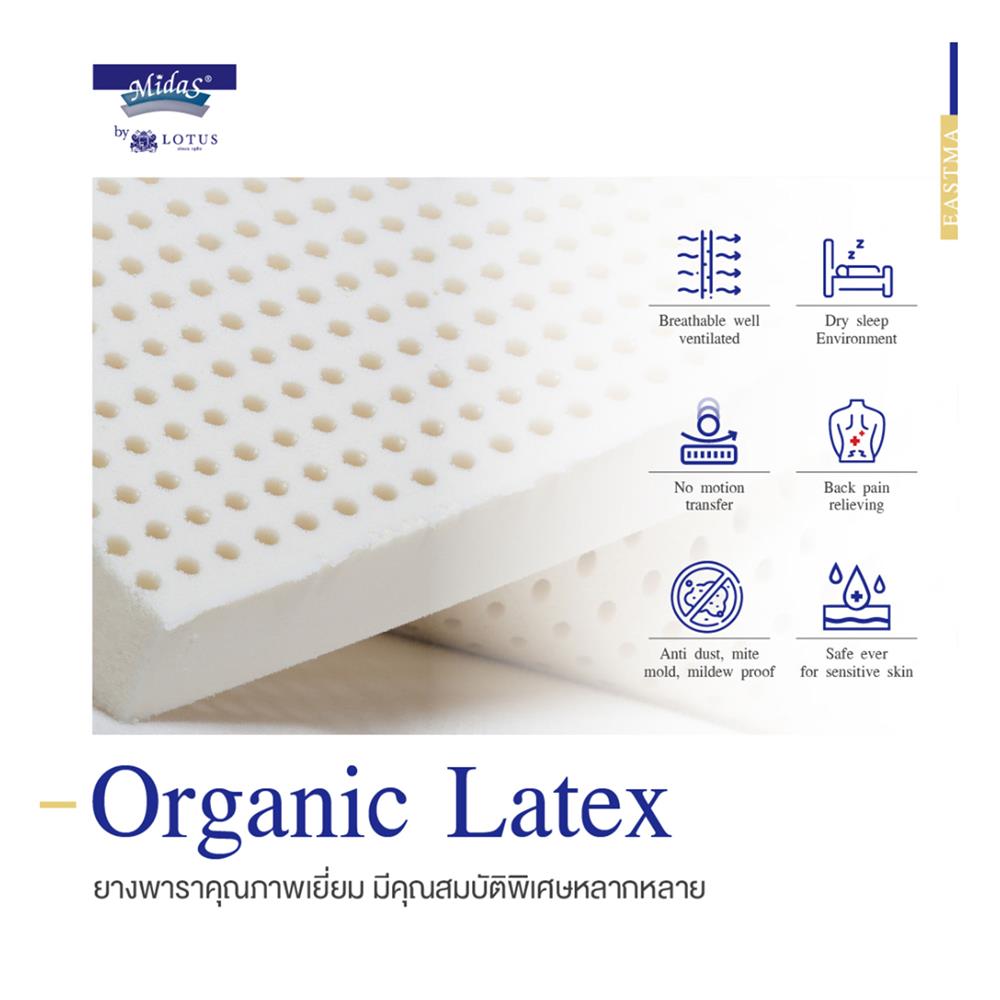 ที่นอน 5 ฟุต MIDAS EASTMA 1000 พร้อมหมอนหนุน 2 ชิ้น