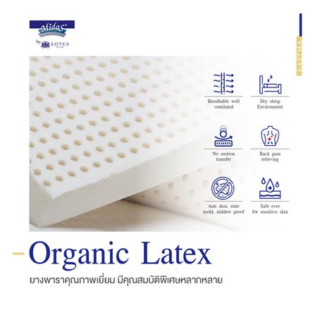 ที่นอน 5 ฟุต MIDAS EASTMA 1000 พร้อมหมอนหนุน 2 ชิ้น_4