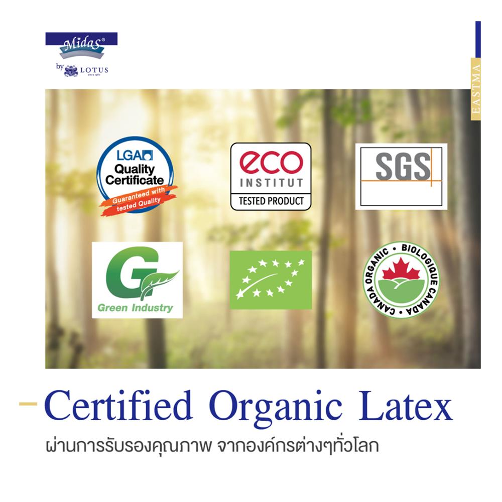 ที่นอน 5 ฟุต MIDAS EASTMA 2000 พร้อมหมอนหนุน 2 ชิ้น