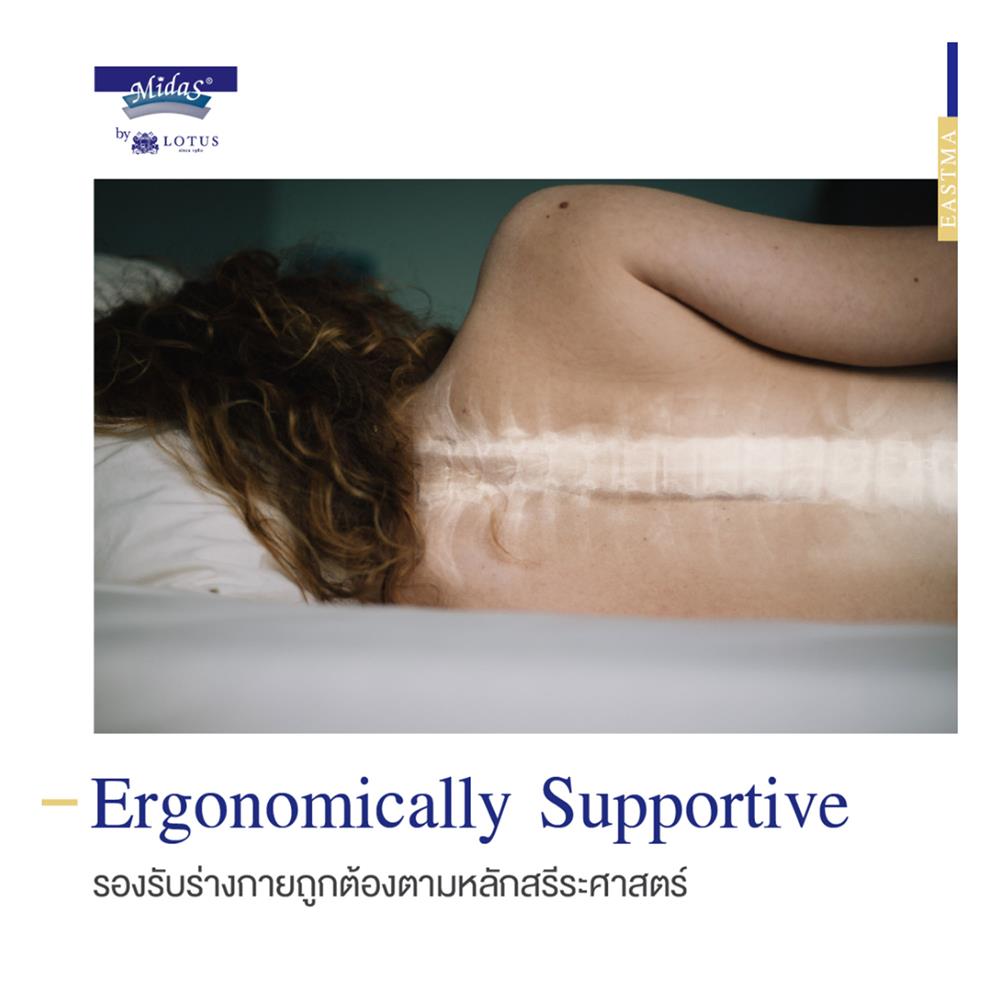 ที่นอน 6 ฟุต MIDAS EASTMA 1000 พร้อมหมอนหนุน 2 ชิ้น