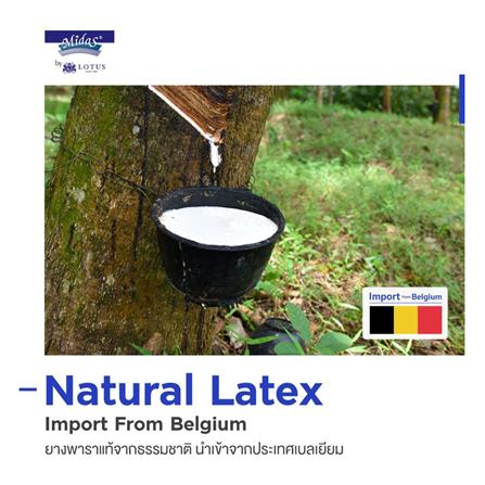 ที่นอน 6 ฟุต MIDAS EASTMA 1000 พร้อมหมอนหนุน 2 ชิ้น_15