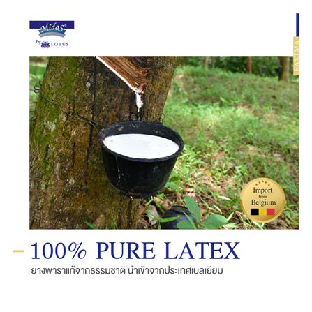 ที่นอน 6 ฟุต MIDAS EASTMA 2000 พร้อมหมอนหนุน 2 ชิ้น_5