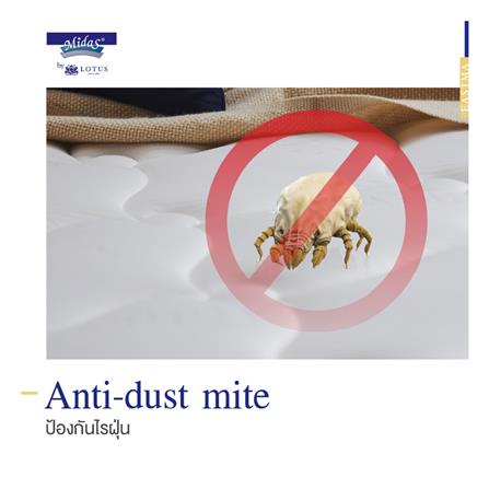 ที่นอน 6 ฟุต MIDAS EASTMA 2000 พร้อมหมอนหนุน 2 ชิ้น_7