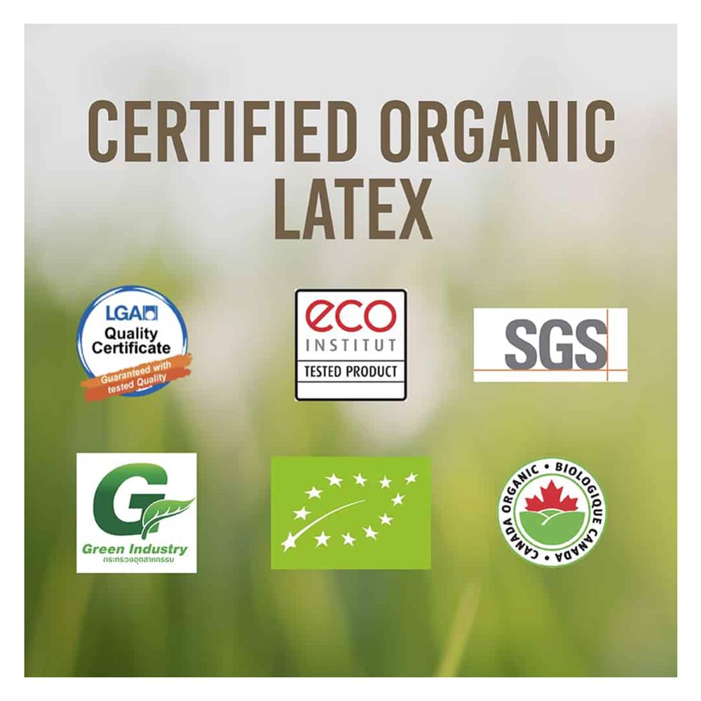 ที่นอน 6 ฟุต LOTUS I-LATEX I พร้อมหมอนหนุน 2 ชิ้น