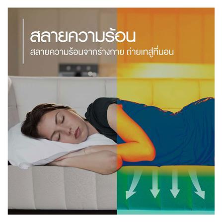 ที่นอน 6 ฟุต LOTUS I-LATEX I พร้อมหมอนหนุน 2 ชิ้น_9