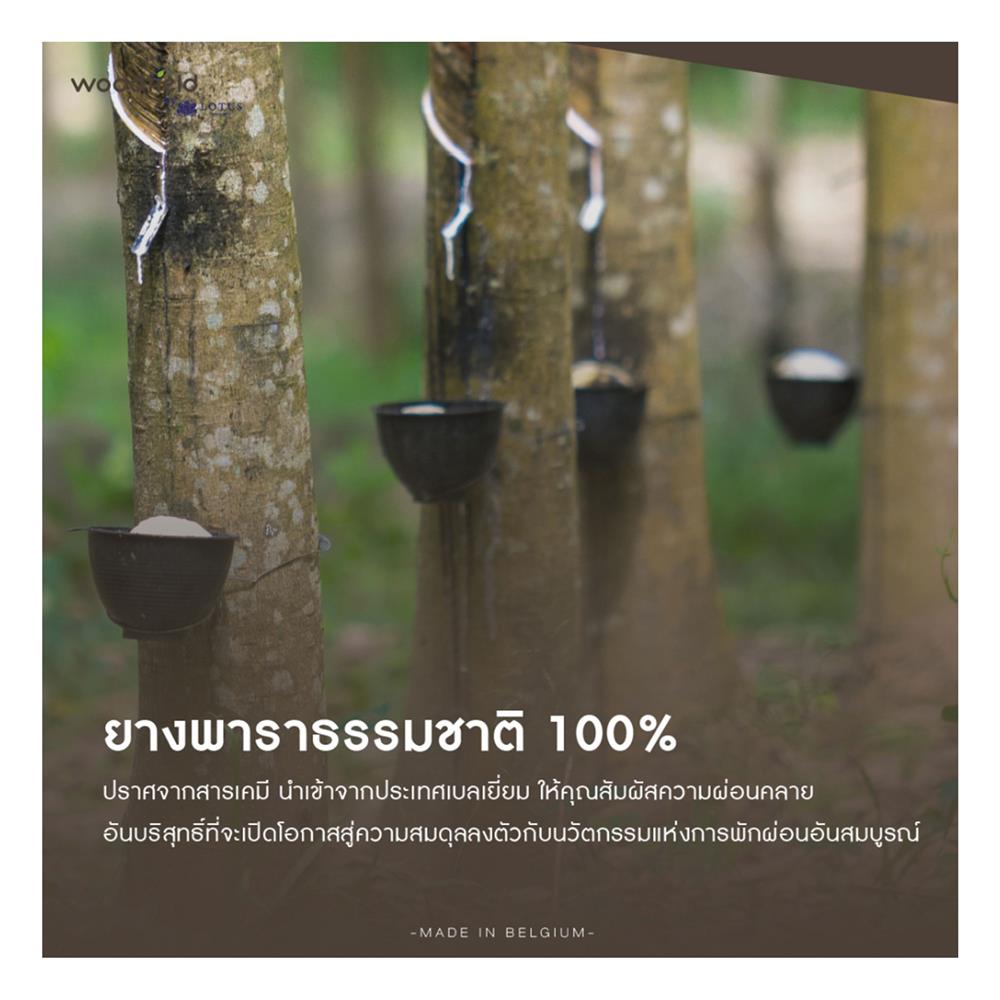 ที่นอน 6 ฟุต WOODFIELD E-HYBRID III พร้อมหมอนหนุน 2 ชิ้น