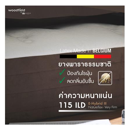 ที่นอน 6 ฟุต WOODFIELD E-HYBRID III พร้อมหมอนหนุน 2 ชิ้น_11