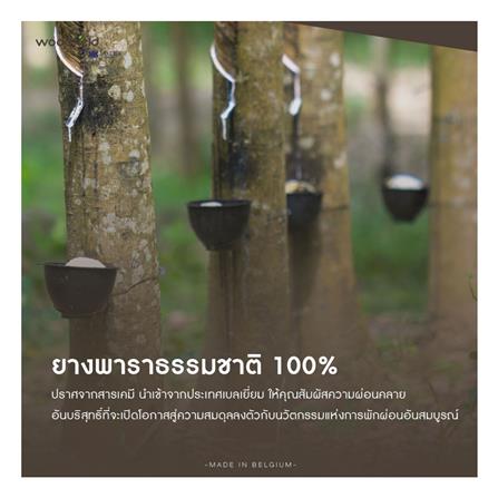 ที่นอน 6 ฟุต WOODFIELD E-HYBRID III พร้อมหมอนหนุน 2 ชิ้น_12