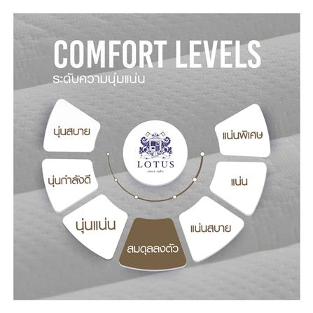ที่นอน 3.5 ฟุต LOTUS I-LATEX II (พร้อมหมอนหนุน 1 ชิ้น)_5