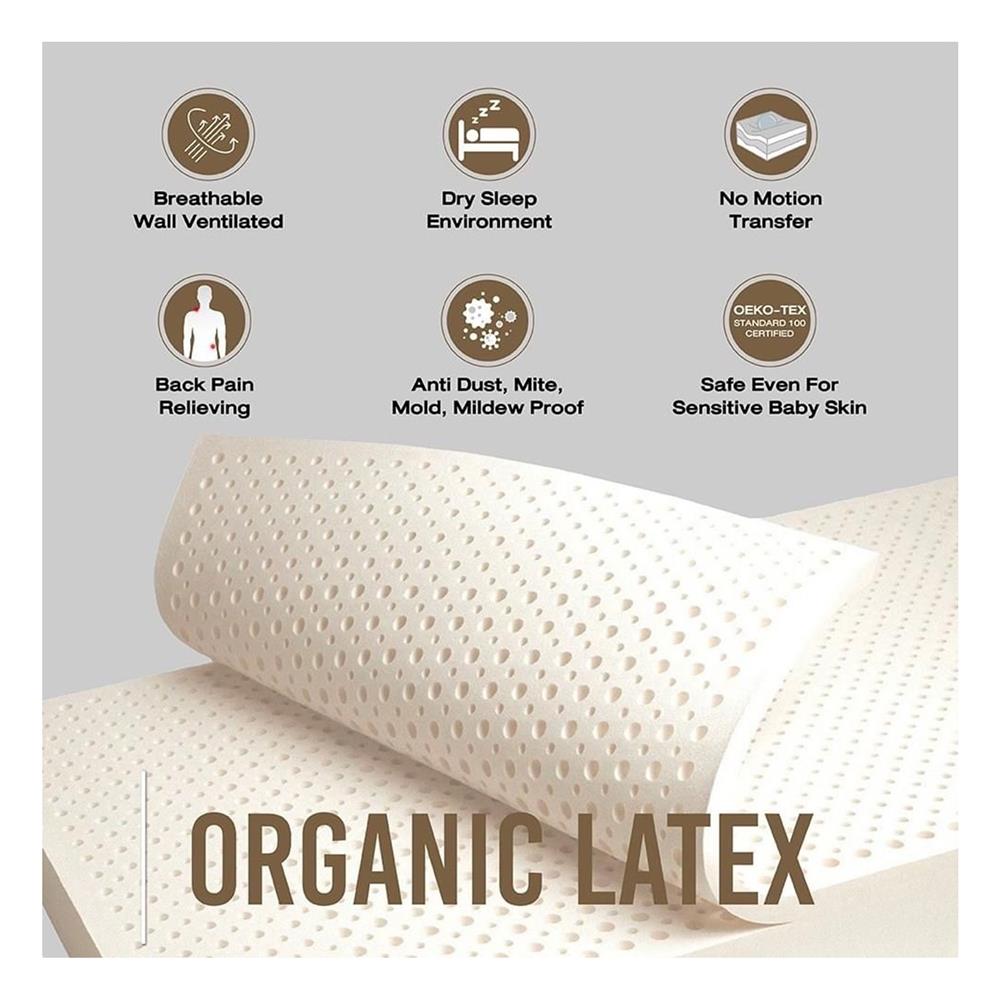 ที่นอน 6 ฟุต LOTUS I-LATEX II (พร้อมหมอนหนุน 2 ชิ้น)