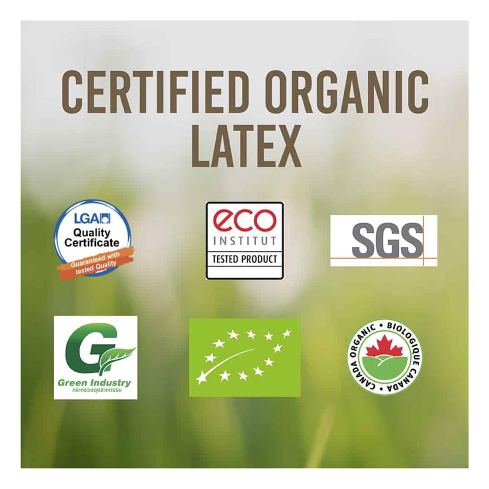 ที่นอน 6 ฟุต LOTUS I-LATEX II (พร้อมหมอนหนุน 2 ชิ้น)