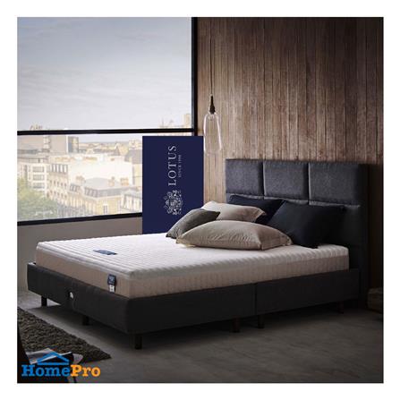 ที่นอน 5 ฟุต LOTUS I-LATEX III (พร้อมหมอนหนุน 2 ชิ้น)_2