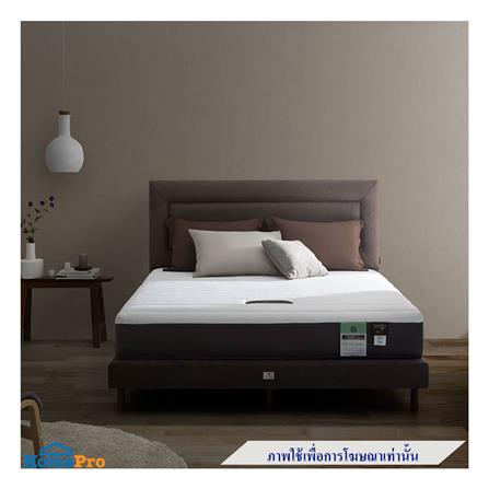 ที่นอน 3.5 ฟุต LOTUS INTEL II พร้อมหมอนหนุน 1 ชิ้น_2