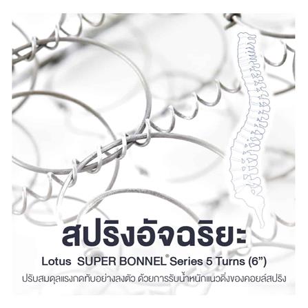 ที่นอน 5 ฟุต LOTUS INTEL II พร้อมหมอนหนุน 2 ชิ้น_7