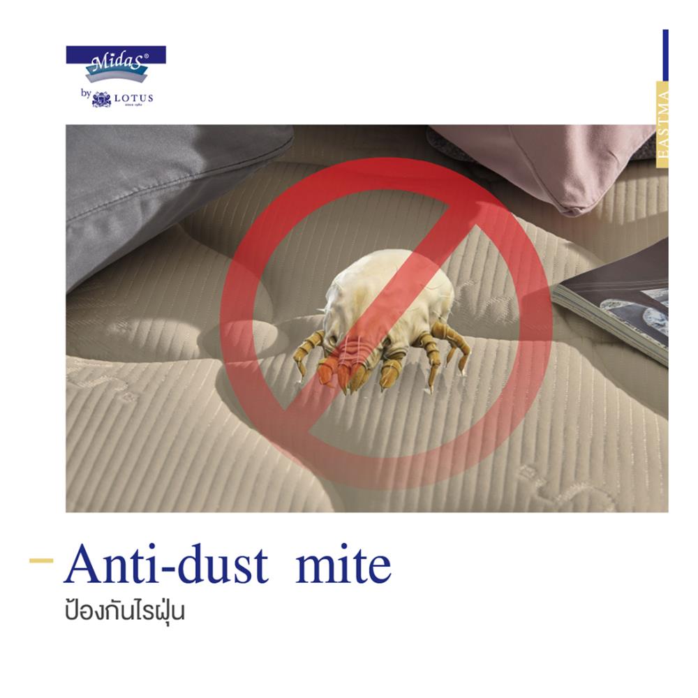 ที่นอน 5 ฟุต MIDAS EASTMA 3000 พร้อมหมอนหนุน 2 ชิ้น