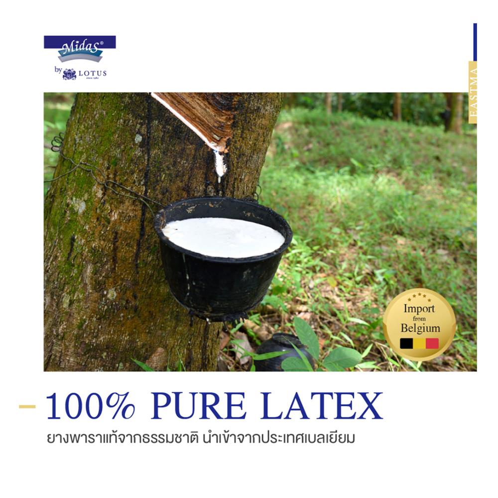 ที่นอน 5 ฟุต MIDAS EASTMA 3000 พร้อมหมอนหนุน 2 ชิ้น