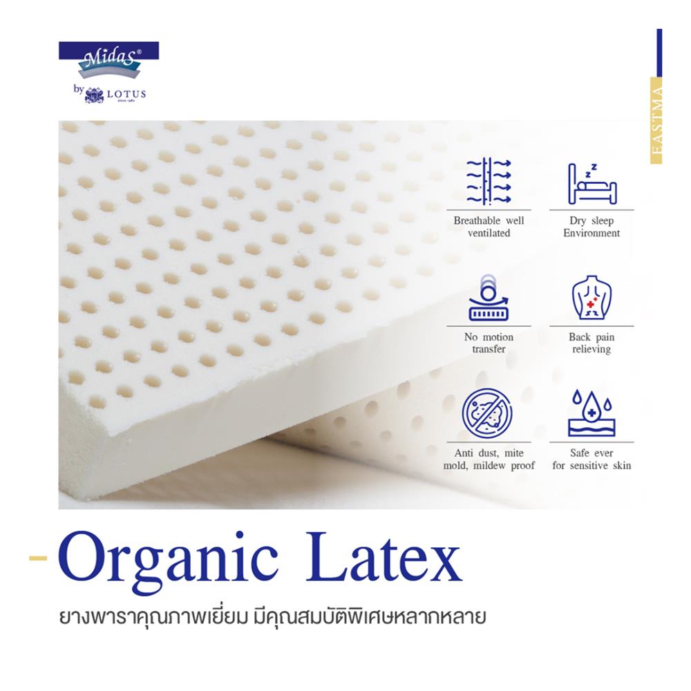 ที่นอน 6 ฟุต MIDAS EASTMA 3000 พร้อมหมอนหนุน 2 ชิ้น