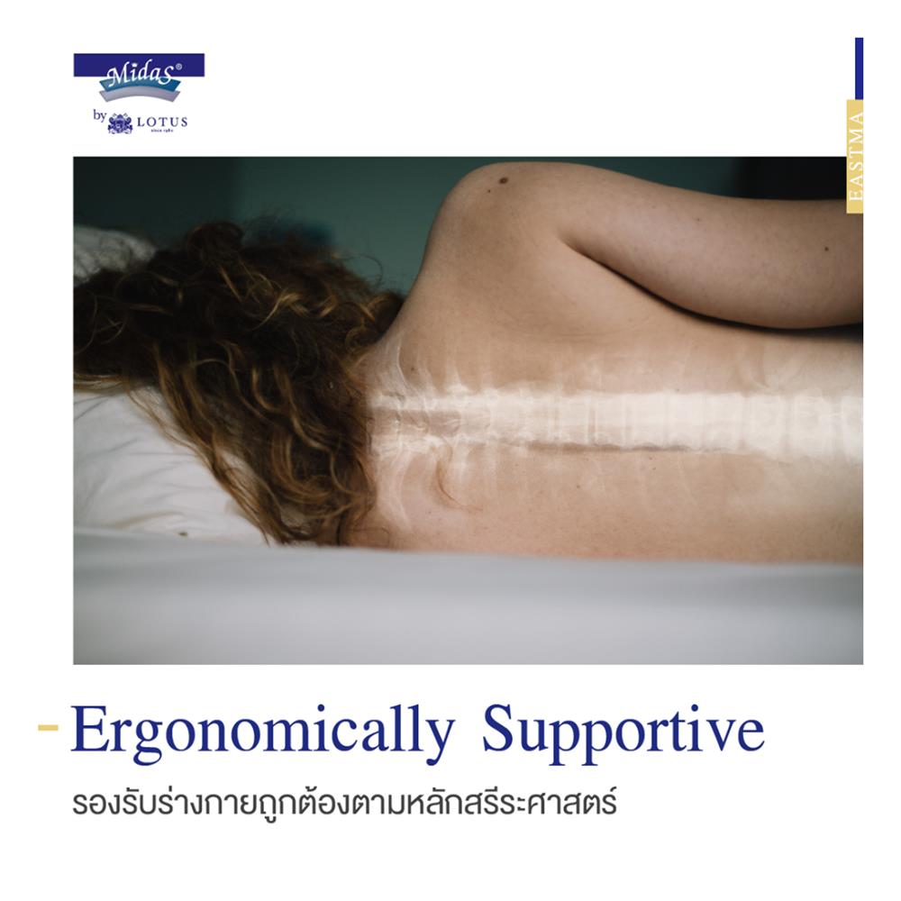 ที่นอน 6 ฟุต MIDAS EASTMA 3000 พร้อมหมอนหนุน 2 ชิ้น