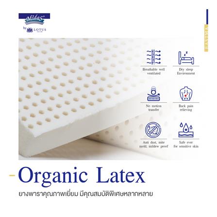 ที่นอน 6 ฟุต MIDAS EASTMA 3000 พร้อมหมอนหนุน 2 ชิ้น_7