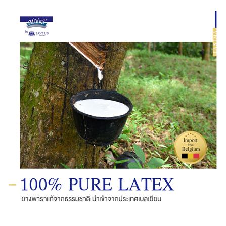 ที่นอน 6 ฟุต MIDAS EASTMA 3000 พร้อมหมอนหนุน 2 ชิ้น_12