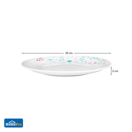 จาน PORCELAIN 10