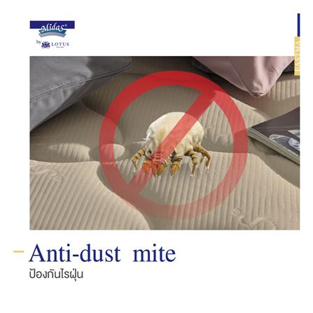 ที่นอน 3.5 ฟุต MIDAS EASTMA 3000 พร้อมหมอนหนุน 1 ชิ้น_9