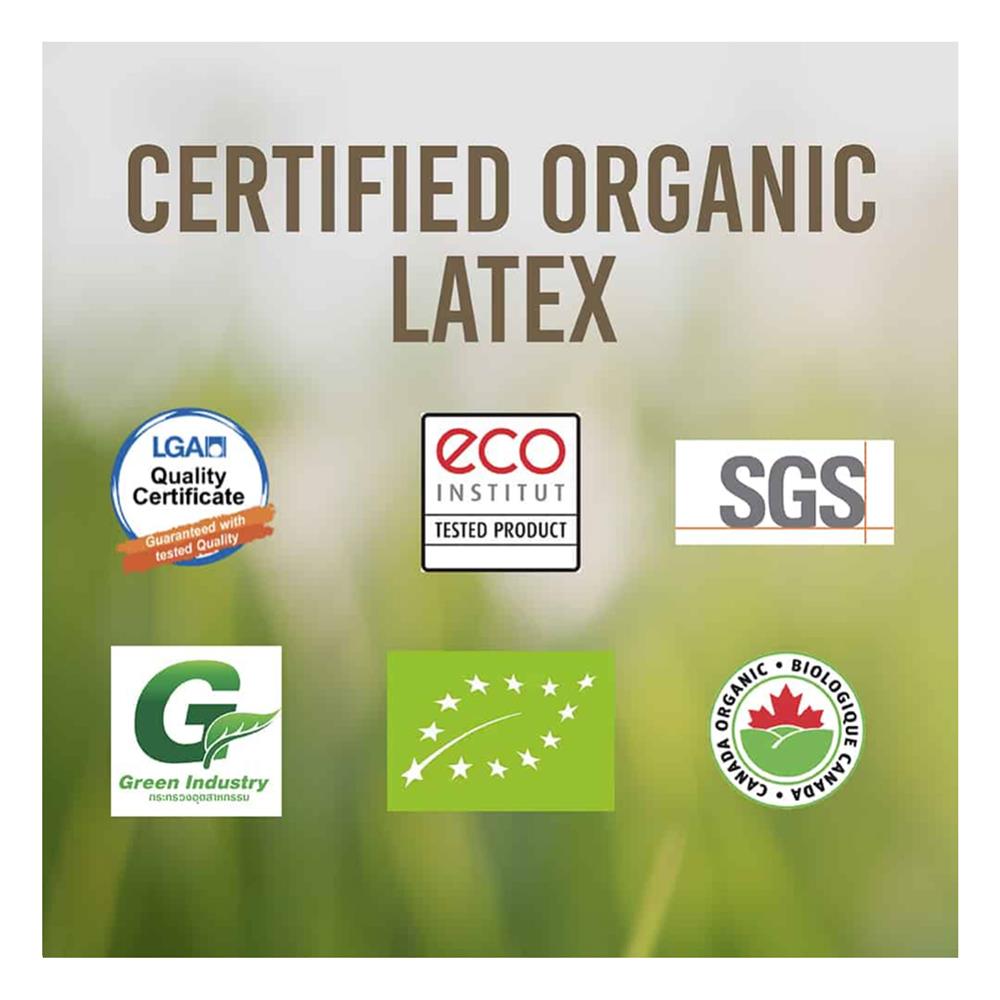 ที่นอน 6 ฟุต LOTUS I-LATEX III (พร้อมหมอนหนุน 2 ชิ้น)