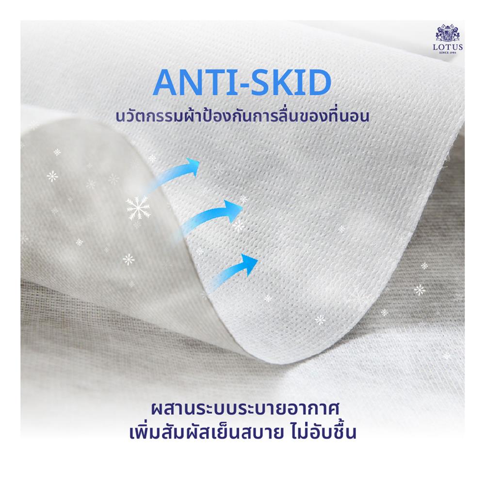 ที่นอน 6 ฟุต LOTUS I-LATEX III (พร้อมหมอนหนุน 2 ชิ้น)