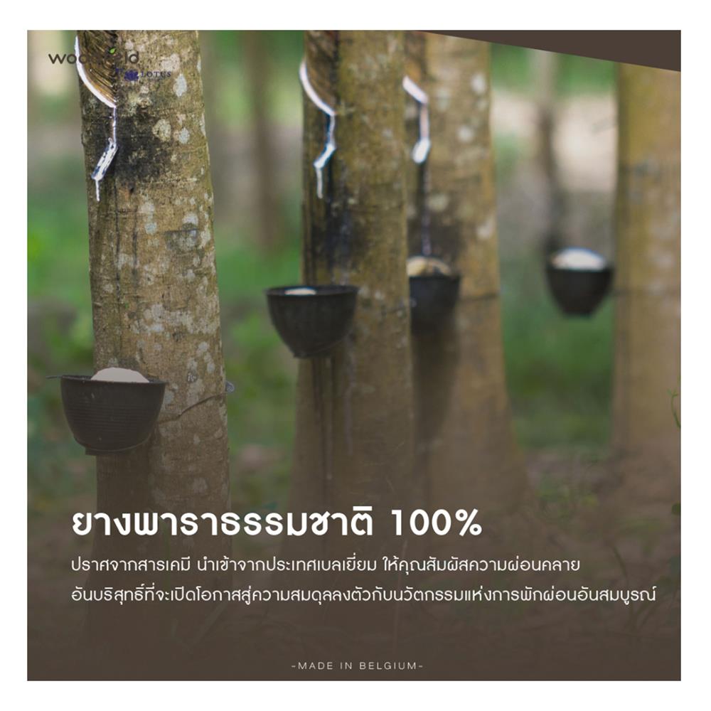 ที่นอน 3.5 ฟุต WOODFIELD E-HYBRID II พร้อมหมอนหนุน 1 ชิ้น