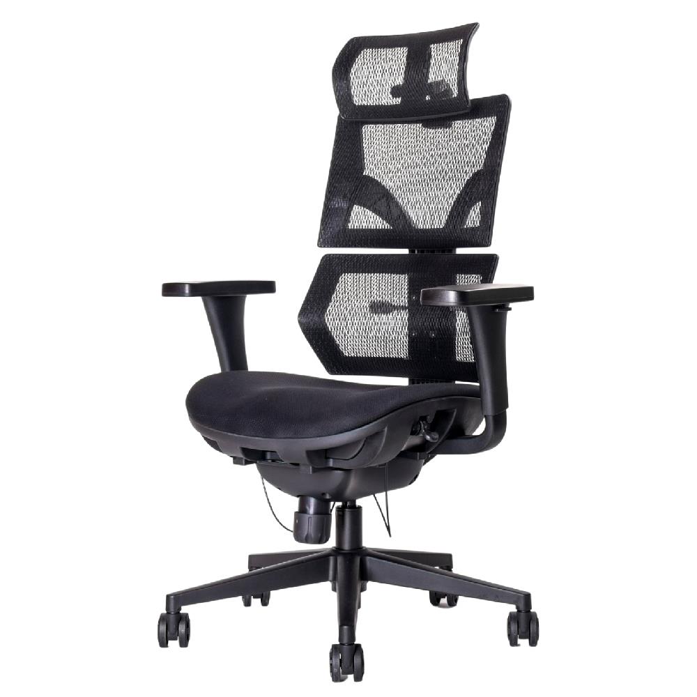 เก้าอี้สุขภาพ ERGOTREND MALMOLIGHT สีดำ