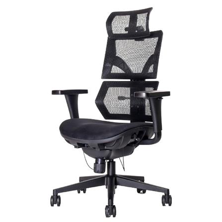 เก้าอี้สุขภาพ ERGOTREND MALMOLIGHT สีดำ_0