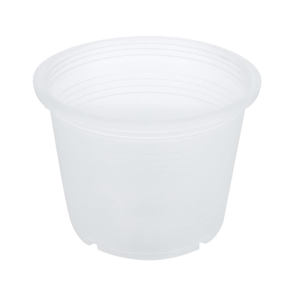 กระถางต้นไม้ SPRING 5.5 นิ้ว สีขาวใส แพ็ค 5 ใบ